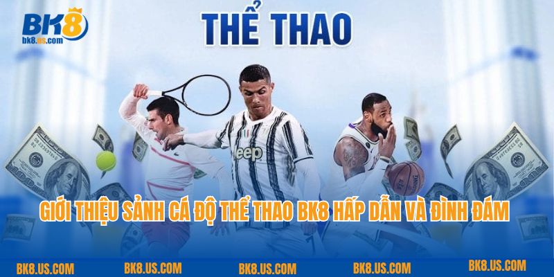 Giới thiệu sảnh cá độ thể thao BK8 hấp dẫn và đình đám nhất