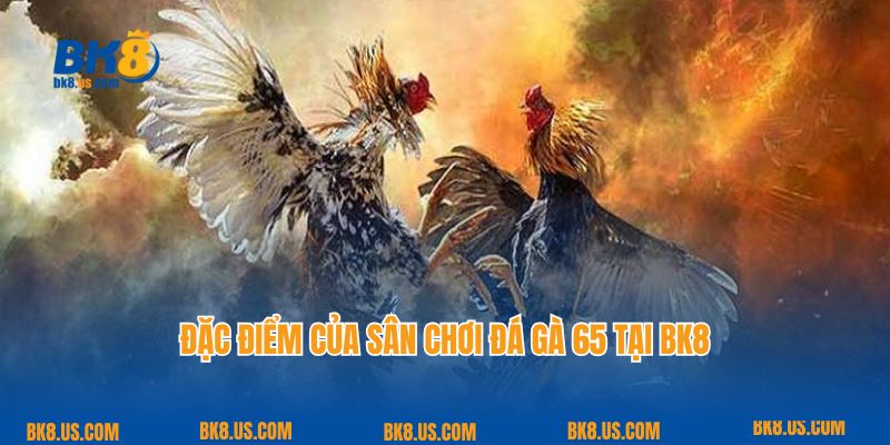 Đặc điểm của sân chơi đá gà 65 tại BK8