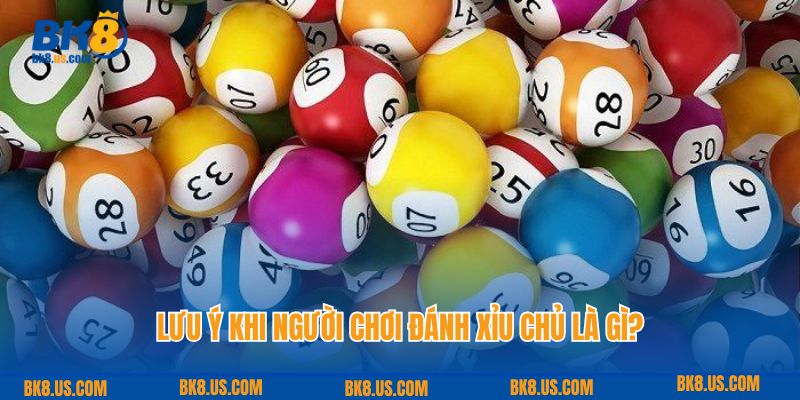 Lưu ý khi người chơi đánh xỉu chủ là gì?